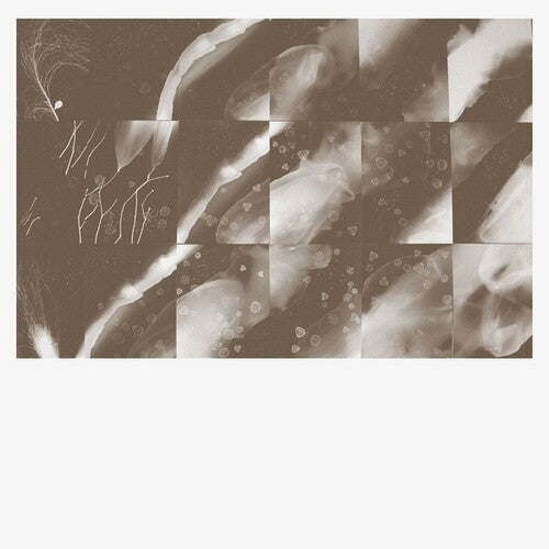 Peter Knight - For A Moment The Sky Knew My Name
