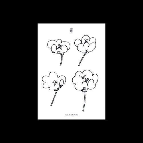 Lawrence - Poppies