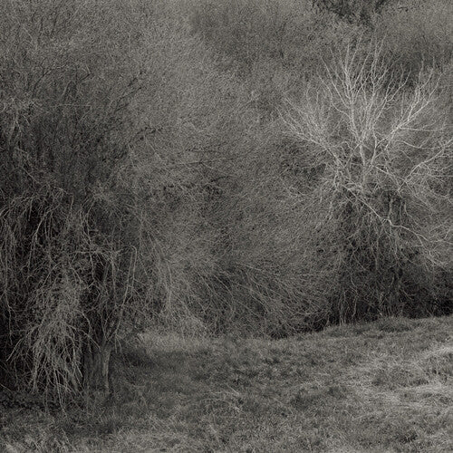 K. Leimer - Atrophies For Piano - White