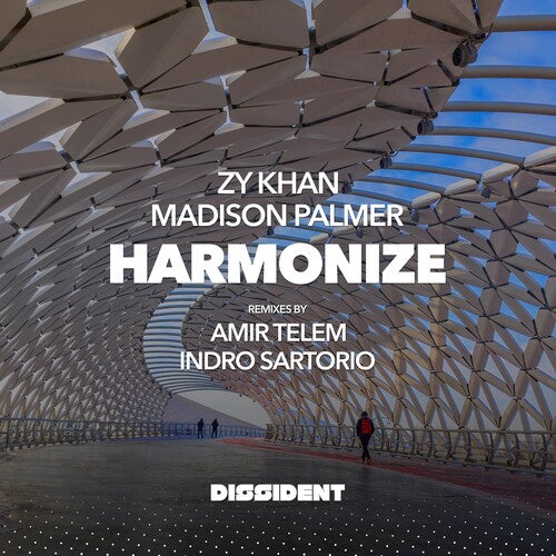 Zy Khan Madison Palmer - Harmonize