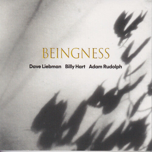 Dave Leibman / Billy Hart / Adam Rudolph - Beingness