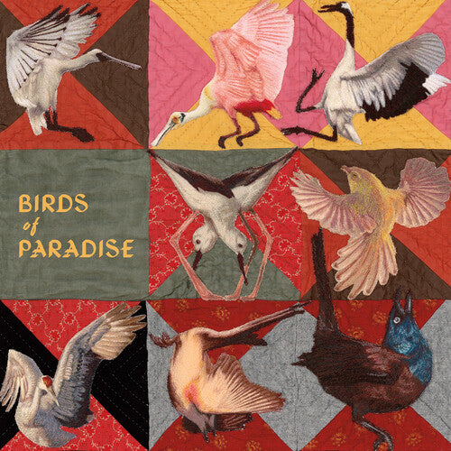 Thomas Dollbaum - Birds of Paradise - Pink
