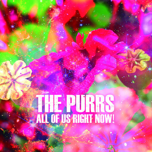 Purrs - All of Us Right Now!
