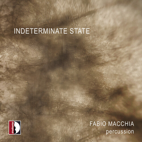 Fabio Macchia - Indeterminate State - Fabio Macchia