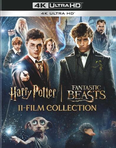 Harry Potter and Fantastic Beasts 11-film Collection