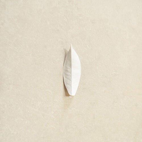 Sylvain Chauveau - The Complexity of the Simple