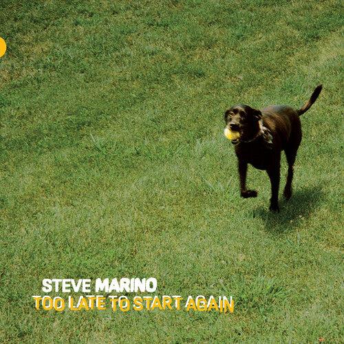 Steve Marino - Too Late to Start Again