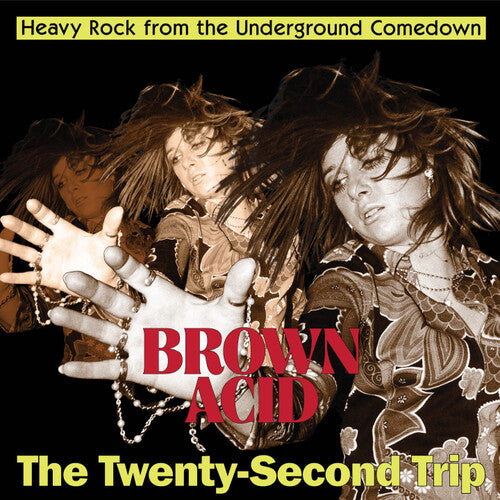 Brown Acid - Twenty-Second Trip/ Various - Brown Acid - The Twenty-Second Trip (Various Artists)