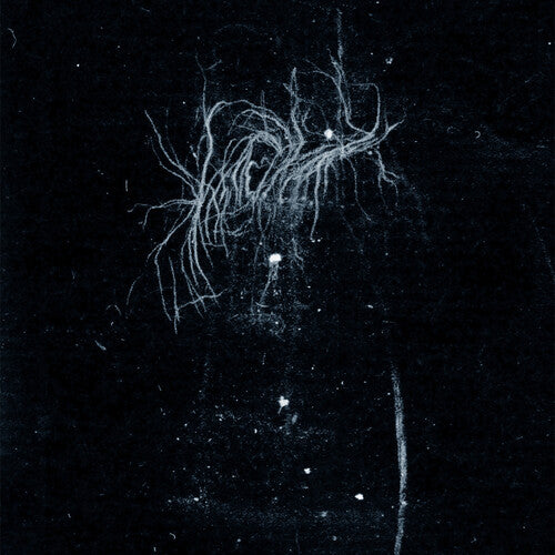 An Heart Inverted Flame - My Death Is More Beautiful Than Your Life