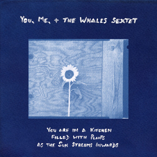 Me, You + the Whales Sextet - You are in a Kitchen Filled with Plants as the Sun Streams Inwards