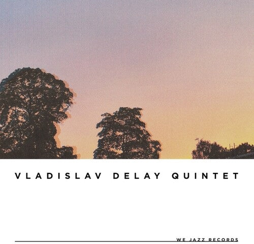 Vladislav Delay - vd5