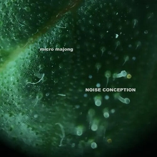Micro Majong - Noise Conception
