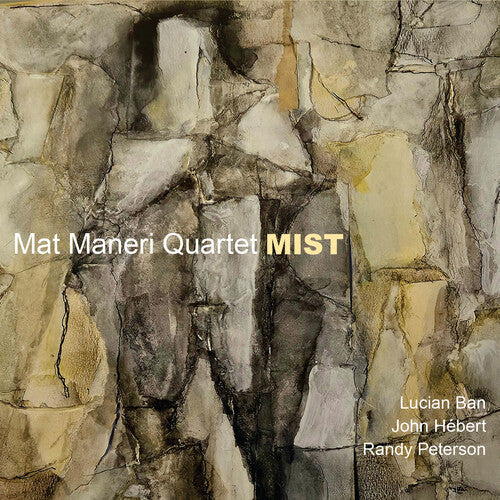 Mat Maneri - Mist