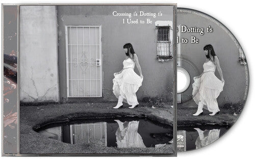 Crossing I's Dotting T's - I Used To Be