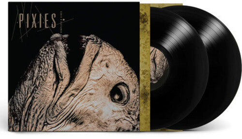Pixies - Complete B Sides: 1988-97