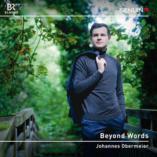 Johannes Obermeier - Beyond Words