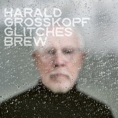 Harald Grosskopf - Glitches Brew