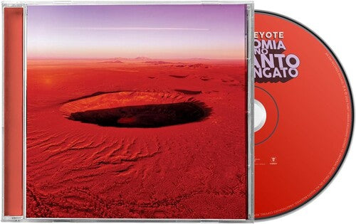 Willie Peyote - Anatomia Di Uno Schianto Prolungato