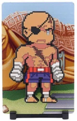 FiGGYZ - Street Fighter 2 - Sagat Magnetic Collectible