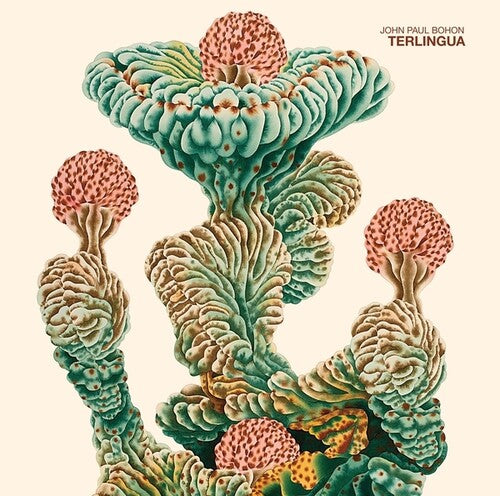 John Bohon Paul - Terlingua