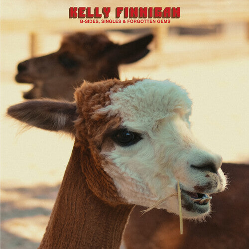 Kelly Finnigan - B-Sides, Singles & Forgotten Gems - Red