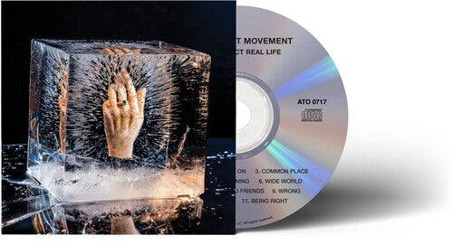 Improvement Movement - Your Perfect Real Life