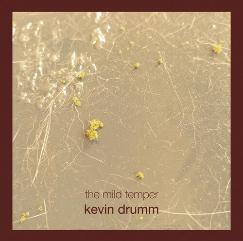 Kevin Drumm - The Mild Temper