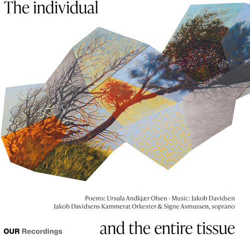 Signe Asmussen - The individual and the entire tissue