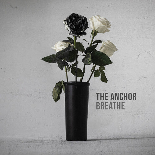 Anchor - The Anchor