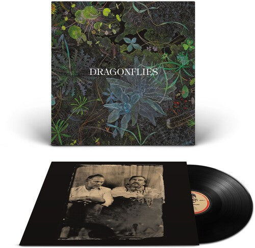 Dragonflies - Dragonflies