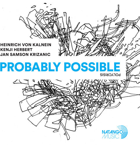 Heinrich von Kalnein - Probably Possible