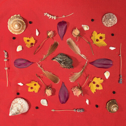 Secret Family - Grouse Head Talisman