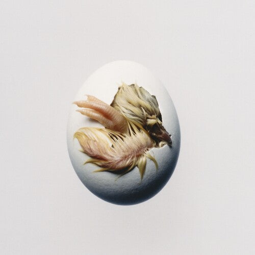 Shygirl - SWALLOW!
