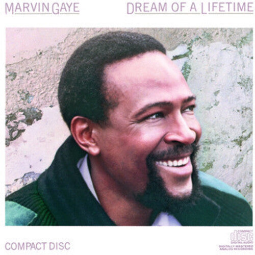 Marvin Gaye - Dream of a Lifetime
