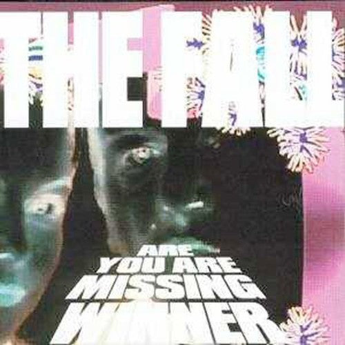 Fall - Are You Are Next Winner?