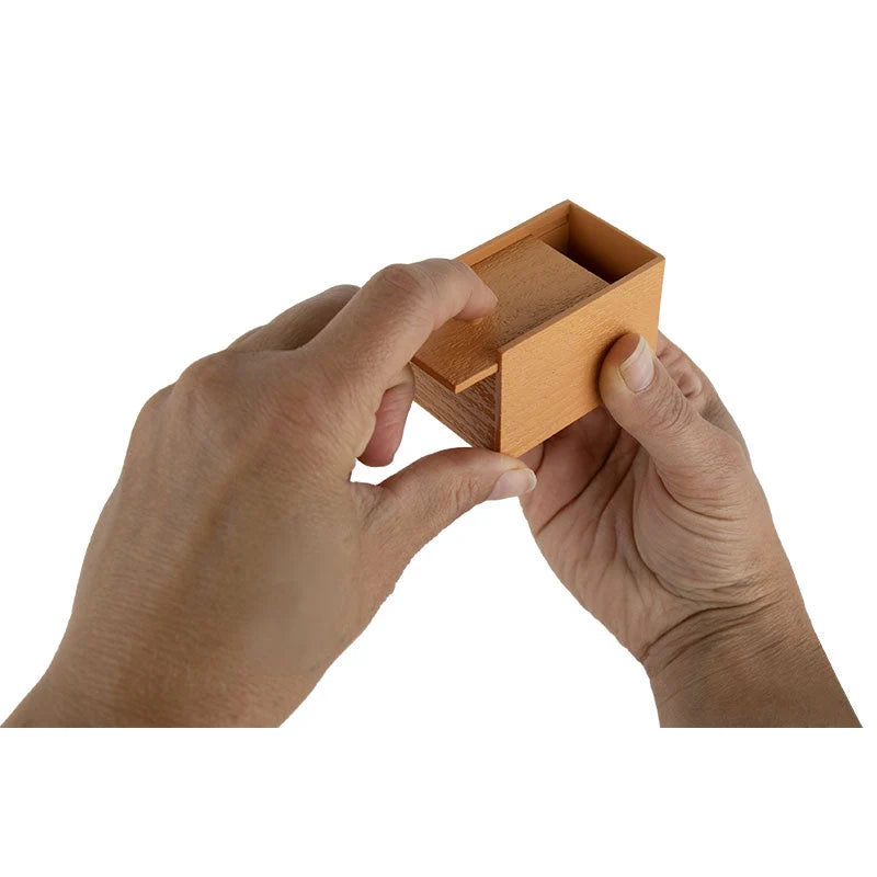 World’s Smallest Spider Box