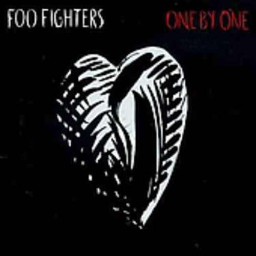 Foo Fighters - One By One