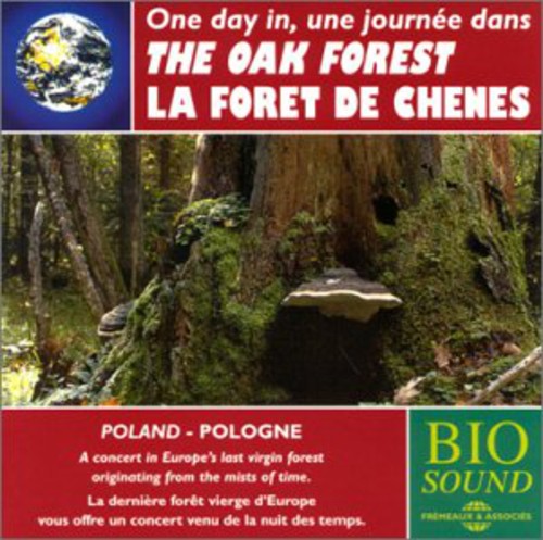Sounds of Nature - The Oak Forest