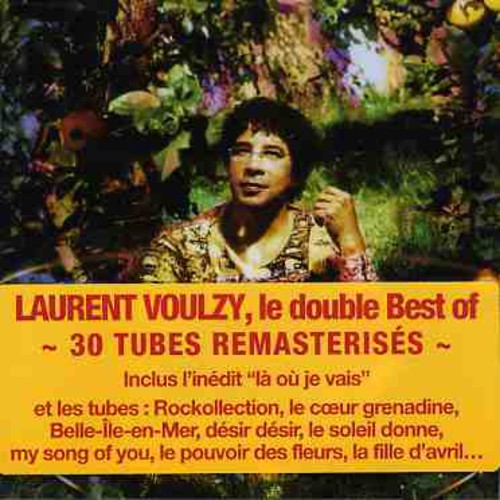 Laurent Voulzy - Saisons Best of