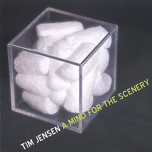 Tim Jensen - A Mind For The Scenery