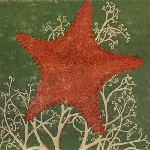 Blithe Sons - Arm of the Starfish