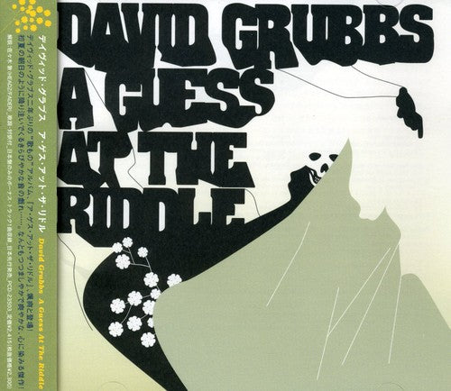 David Grubbs - Guess at Riddle