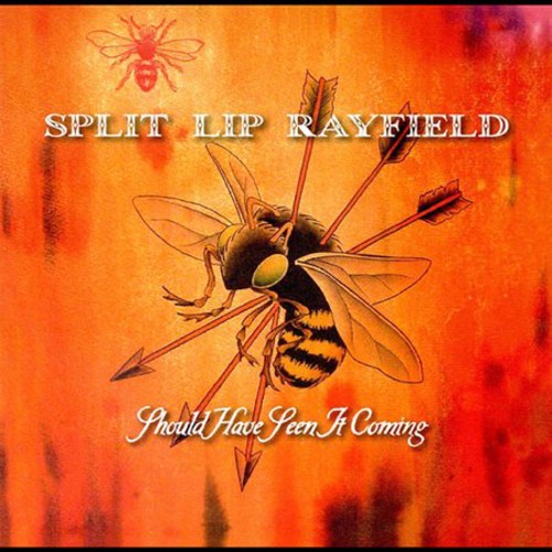 Split Lip Rayfield - Should Have Seen It Coming