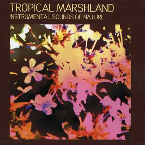 Sounds of Nature - Tropical Marshland