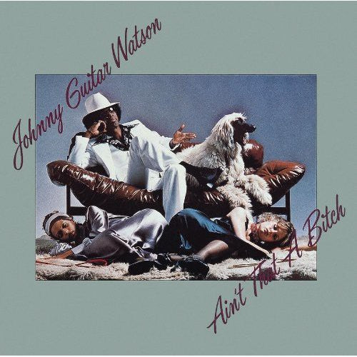 Johnny Watson Guitar - Ain't That a Bitch