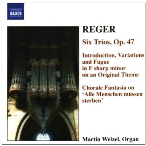 Reger/ Wetzel - Organ Works 6