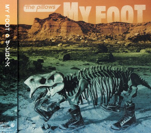 Pillows - My Foot