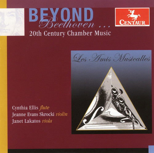 Reger/ Egilsson/ Broughton/ Ellis/ Skrocki - Beyond Beethoven: 20th Century Chamber Music