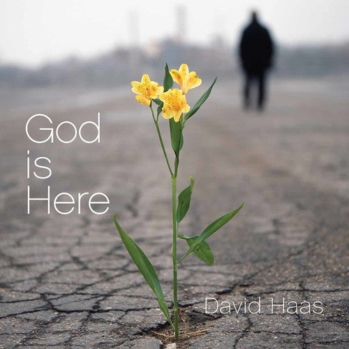 David Haas - God Is Here