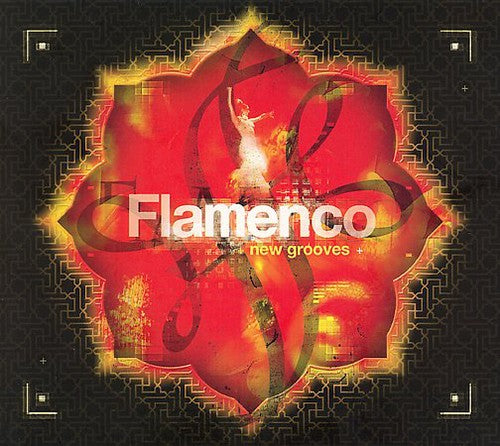 Various - Flamenco New Grooves / Various